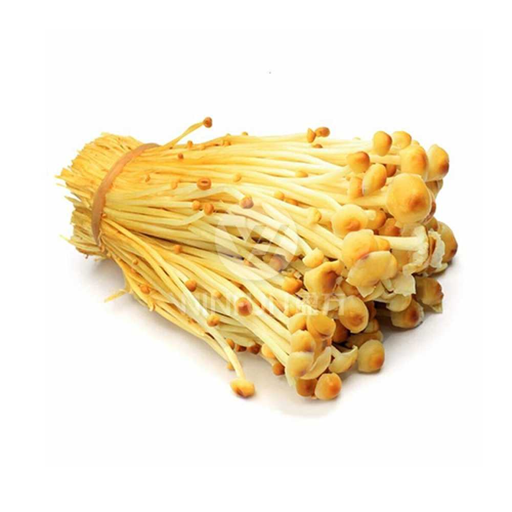 Golden Enoki Mushroom_new.jpg